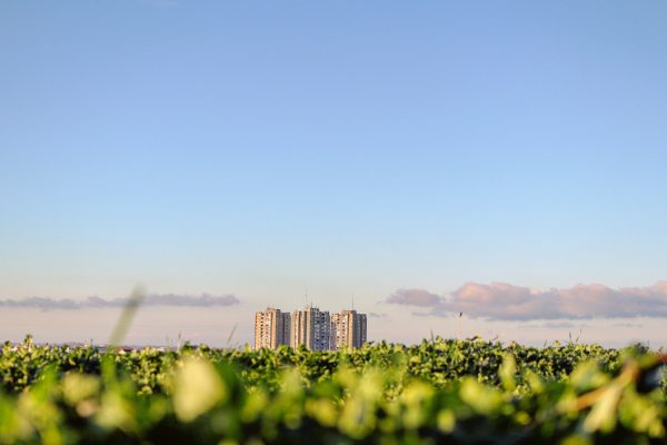 Vers un aménagement urbain durable